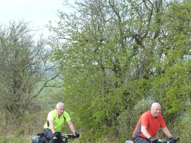 Electronic mountain bikes from Cube, Kalkhoff, and Riese-Müller available for hire on off-road...