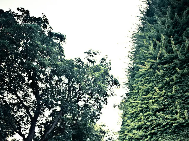 Subaru Telescope Explanation: An In-Depth Look at the Observatory - A Comprehensive Guide to...