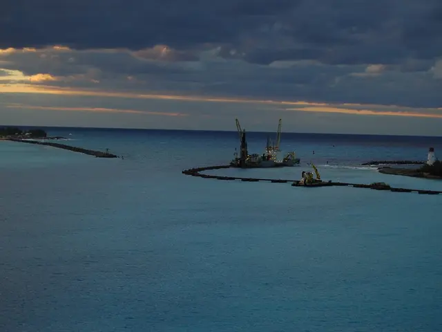 Top Underwater Photography and Video Offers for the 2020 Holiday Season