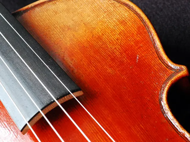 Limited edition PRS CE 24 Special guitar features the addition of the middle pickup from Modern...