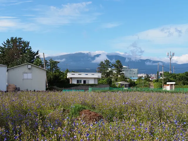 Investment firm Nuveen raises a substantial sum of $1.3 billion for a fresh Power Generation and...