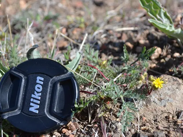 Grass made of artificial materials now graces the town of Sudberg