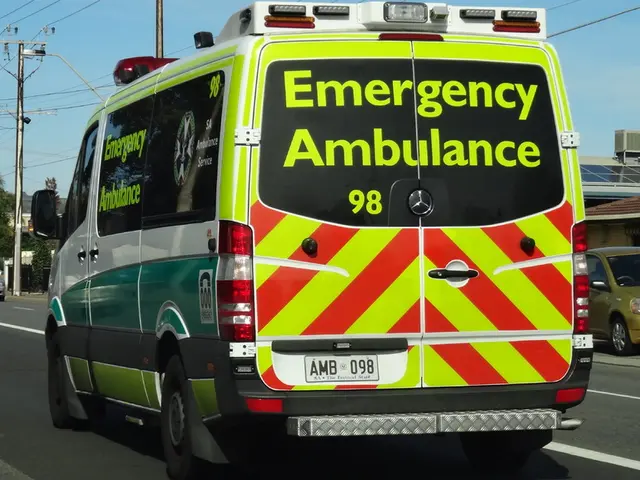 Investment entities are losing interest in green hydrogen projects.