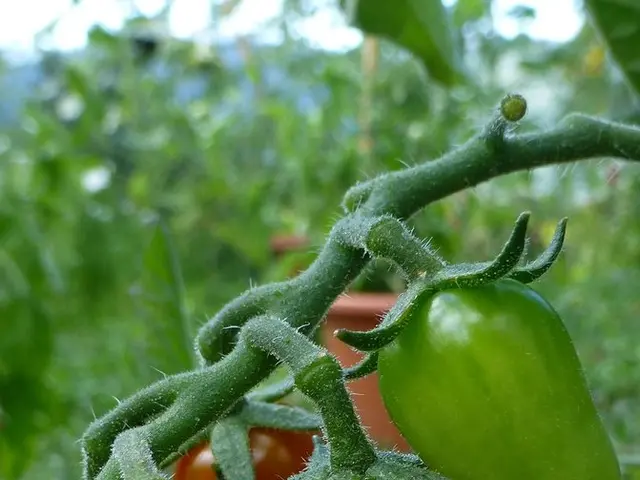 Discovering Living Organisms on Mars Has Become Simpler with New Techniques