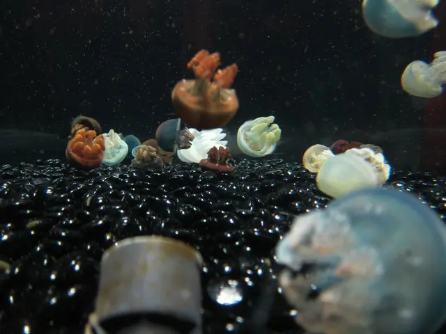 Sticky Hydrogel Retains Rubber Duck onto Rock Despite Crashing Ocean Surges