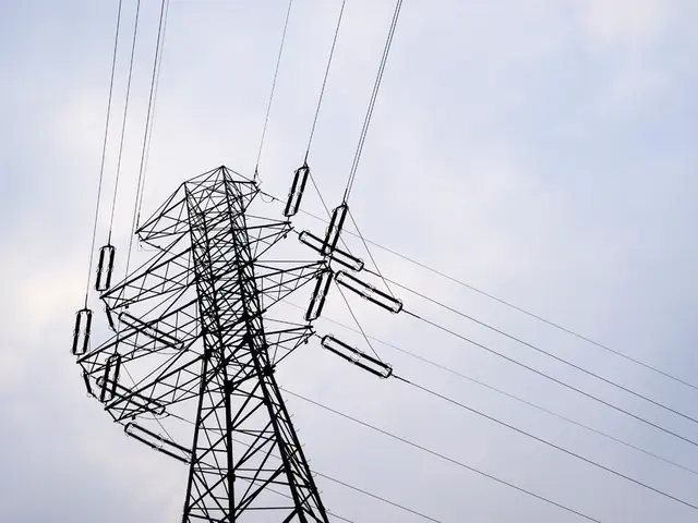 Starlink, Elon Musk's project, secretly profits from ongoing tariff discussions