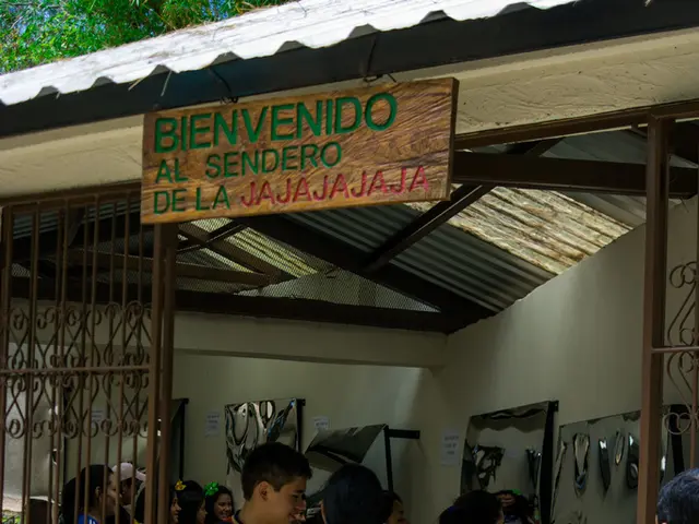 Differentiating factors among exporters in the creative industry and the influence of innovation,...