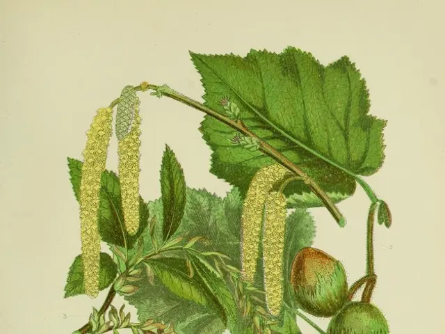 Tools for Visual Artists: Determining the Right Time for Adobe Illustrator and Adobe Photoshop