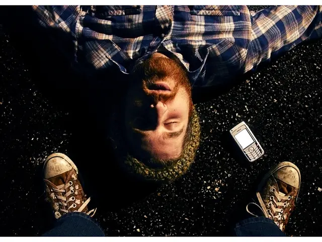 Biometric Identification through Gait Analysis: Demonstrate your stride, and I'll reveal your...