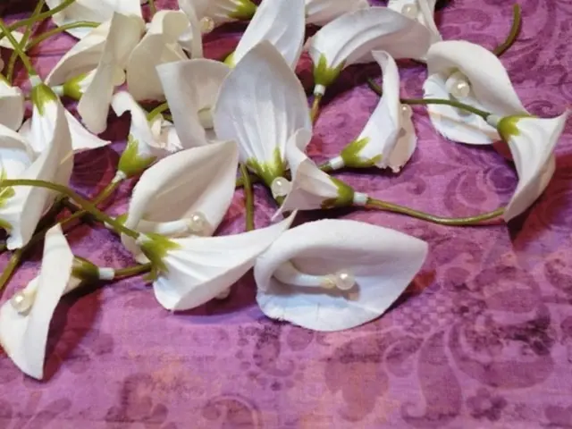 Sustainable Worth in Plastic Use: Examining the Importance of Eco-Friendliness