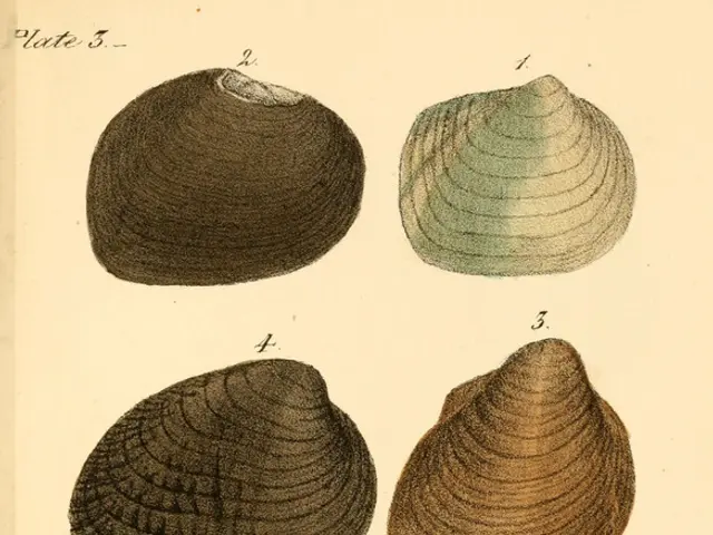 Remote Exploitation of Ghost Vulnerability through Remote Code Execution