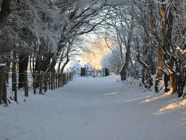 Developing a Decentralized Infrastructure Network by Infura