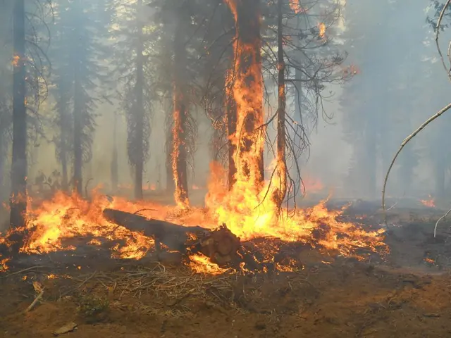 Aerial wildfire detection gets off the ground