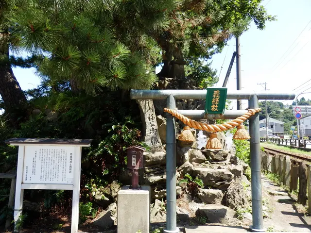 Trump informed that Xi is open to discussions regarding TikTok