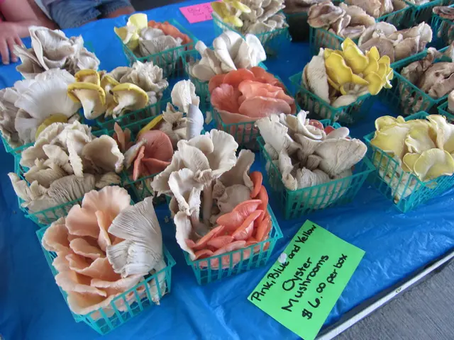 Football pricing on Kalshi lags behind FanDuel and DraftKings during the initial stages of the NFL...