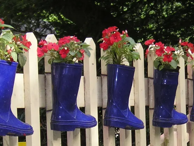 In the foreground of this image, there are few plants potted in blue colored boots which is on...