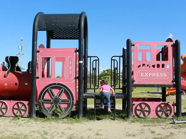 We can see playground equipment and a kid is climbing the steps of an equipment. In the background...