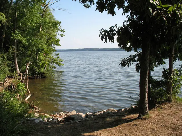 In this picture we can observe a river. There are some stones on the bank of this river. We can...