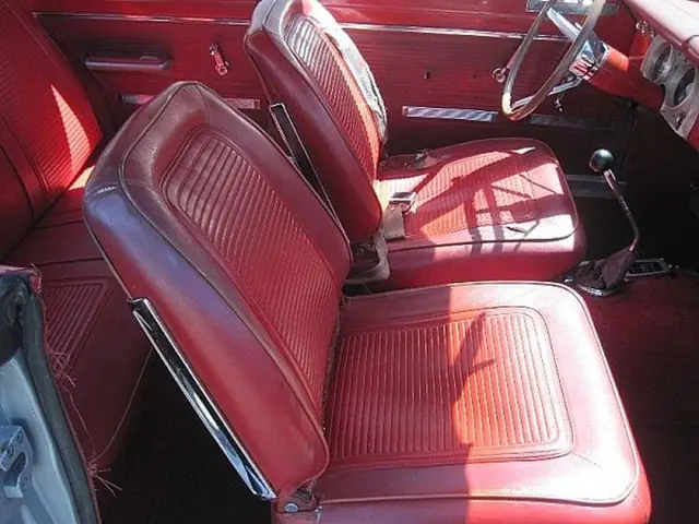 In this picture I can see the inside view of a vehicle, where there are seats, steering, gear...