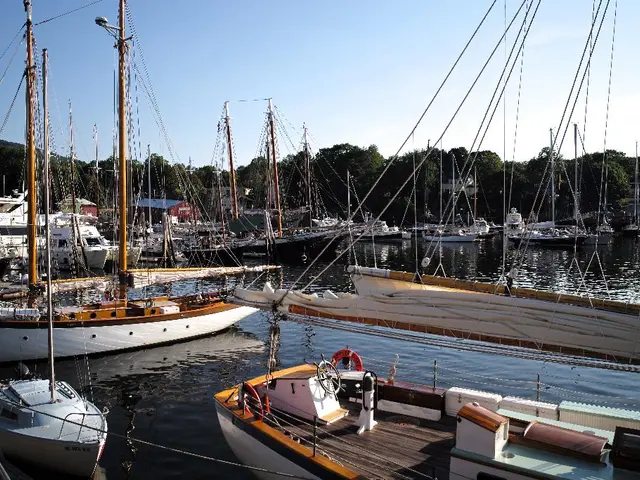 In this image there are few ships in the water, few houses, trees, poles, cables and the sky.