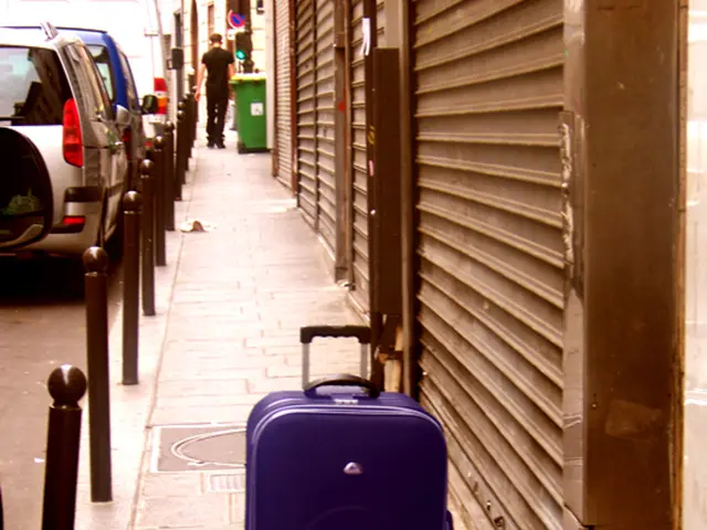 In this picture we can see a briefcase. There are cars on the road. Here we can see a man standing...