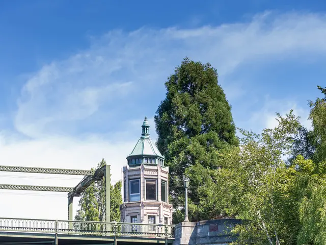 At the bottom of the picture there is a water body. In the center of the picture there are trees,...