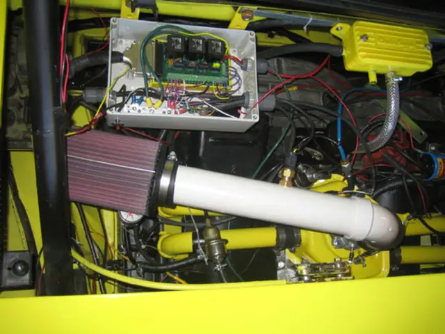 This is a zoomed in picture. In the foreground there is yellow color object seems to be the...