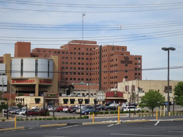 In the image there are buildings in the back with cars in front of it on the road with trees on the...