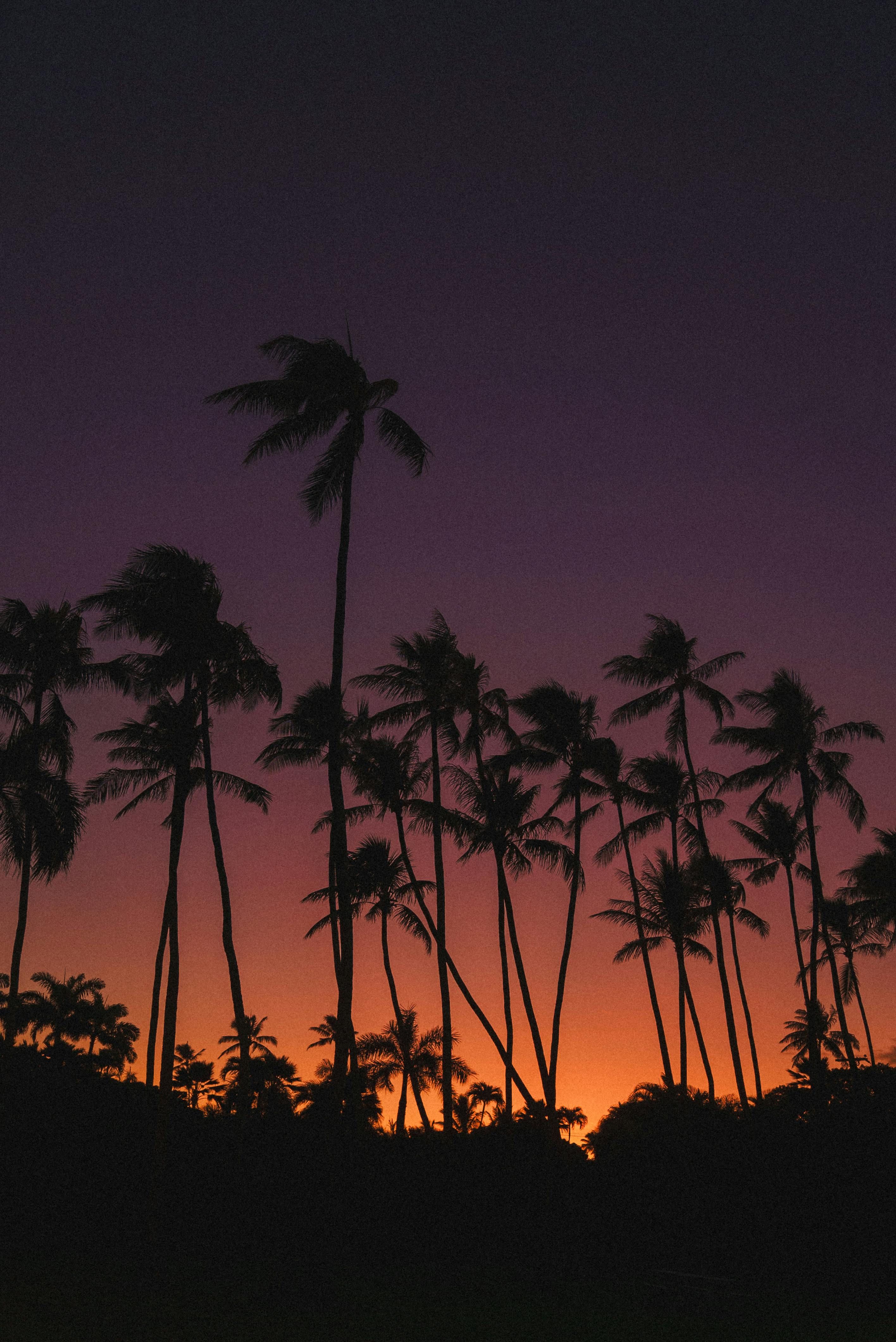 Individual engages in illicit drug activities, found passed out with drug paraphernalia nearby. iGaming provider Zitro Digital makes strategic move into Brazil's recently regulated market, marking a significant step in their expansion plans across Latin America.