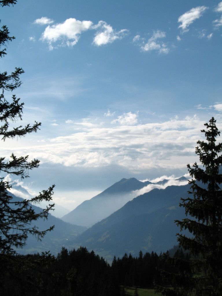 Unveil High-Demand Opportunities in Cyberspace Security: Delve into Professions like Ethical...