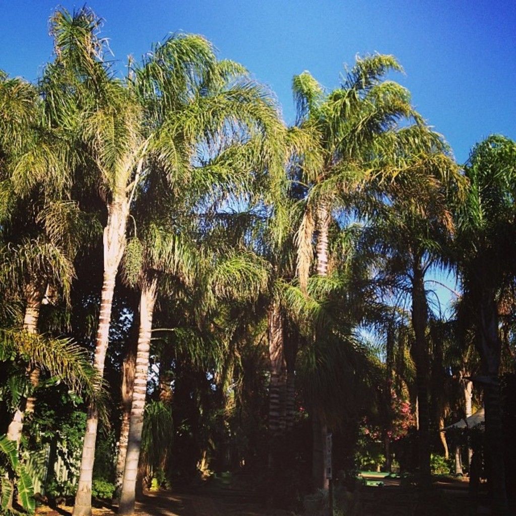 Discovered and listed the top free distortion plugins, equipping you with the essential tools for...